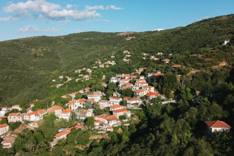 Греция усиливает природоохранный имидж: остров Закинф — образец экологической ответственности