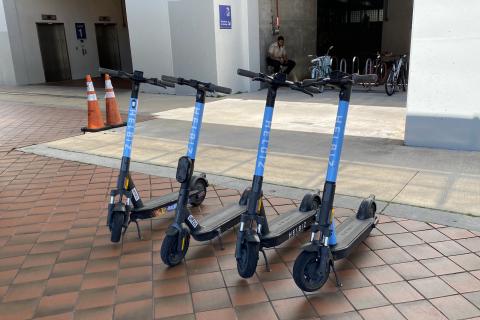 Глава Муравленко исполнила желание семилетнего Адама — Елена Молдован