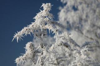 В Коми из-за морозов отменили занятия в ряде школ — канал Комиинформ