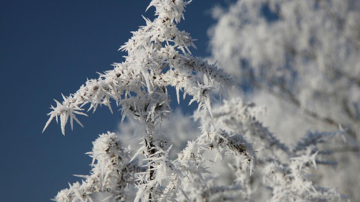 Холод, мороз