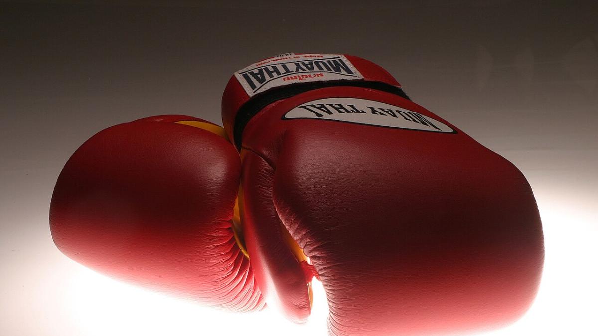 Боксерские перчатки
