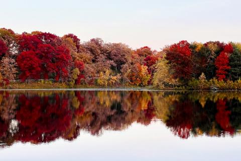 Археологи нашли нагрудный древний знак Лесного сторожа в Кенозерье — пресс-служба парка