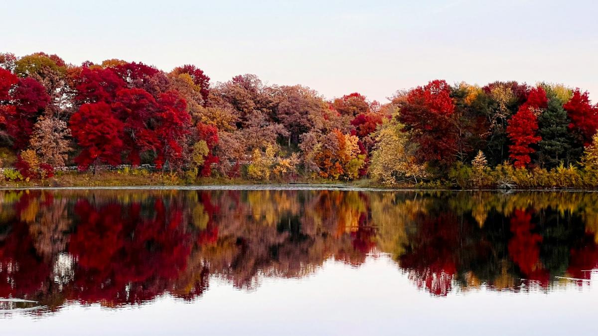 Осенний пейзаж