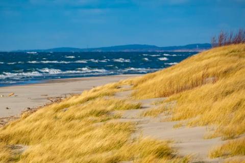 Балтийская коса станет заповедником: как борьба с туристами рождает новый парк