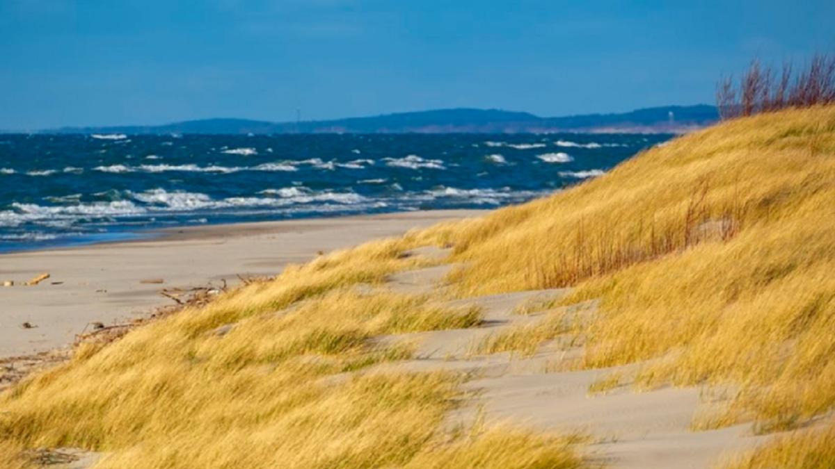 Калининградская область, г. Калининград, Балтийская коса