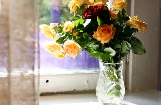 Медь остановила рост бактерий в цветочной вазе — агрономы