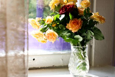 Медь остановила рост бактерий в цветочной вазе — агрономы