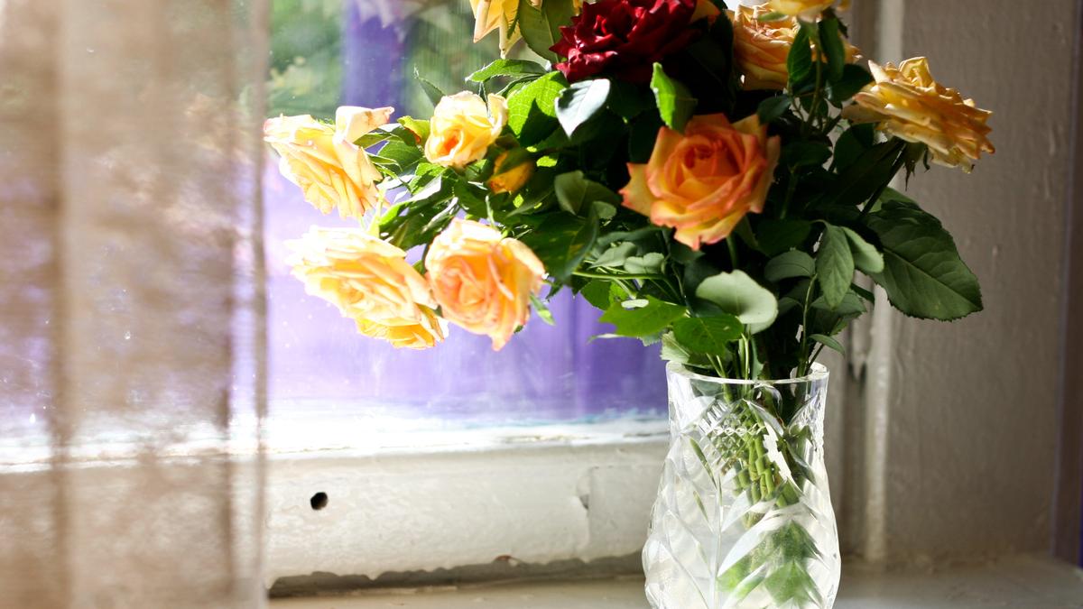 Букет роз на окне