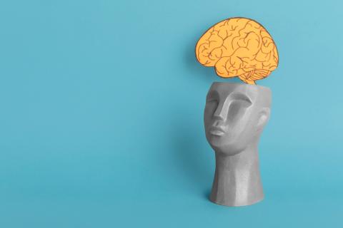 Секреты гениальности: чем удивляют самые умные люди мира