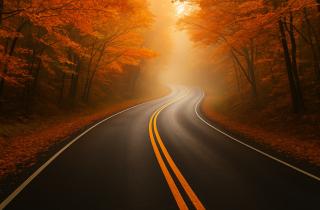 Автоэксперты: в тумане водителям нужно включать задние огни