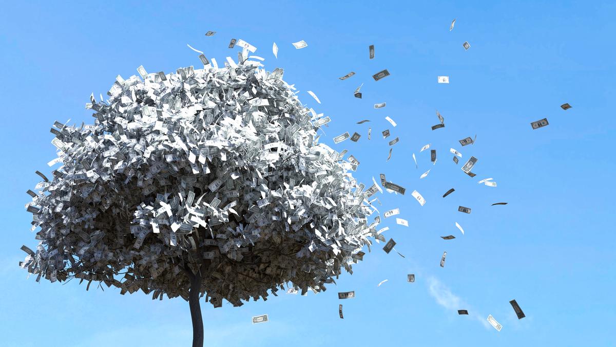 Деньги падают с дерева