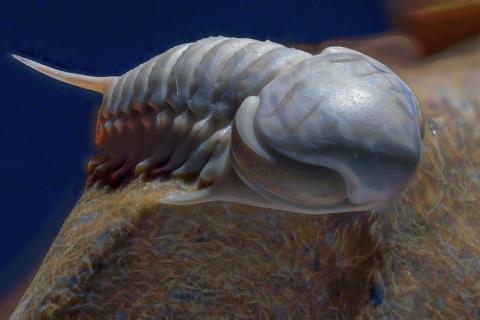 Миллионы лет под землёй: открытие, которое изменило представления о долговечности органики