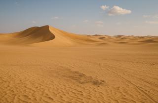 Аравия была обитаема 100 тысяч лет назад — PLOS One