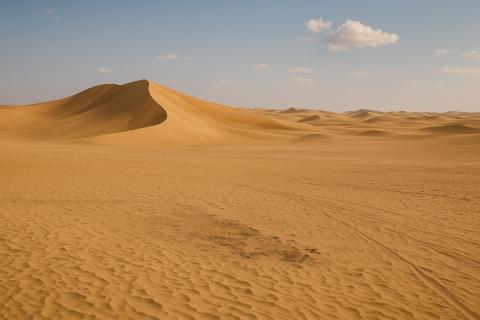 Аравия была обитаема 100 тысяч лет назад — PLOS One