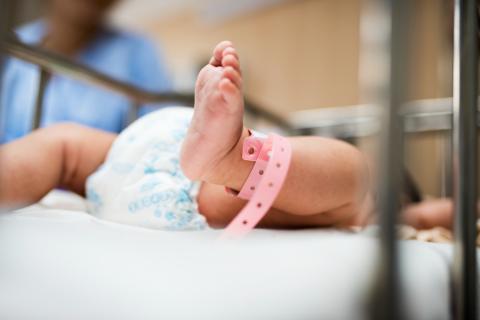 Жительница Подмосковья потребовала через суд исключить её имя из чужого свидетельства о рождении — пресс-служба судов Петербурга
