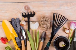 Перед зимой секаторы обрабатывают спиртом для защиты от коррозии — агрономы