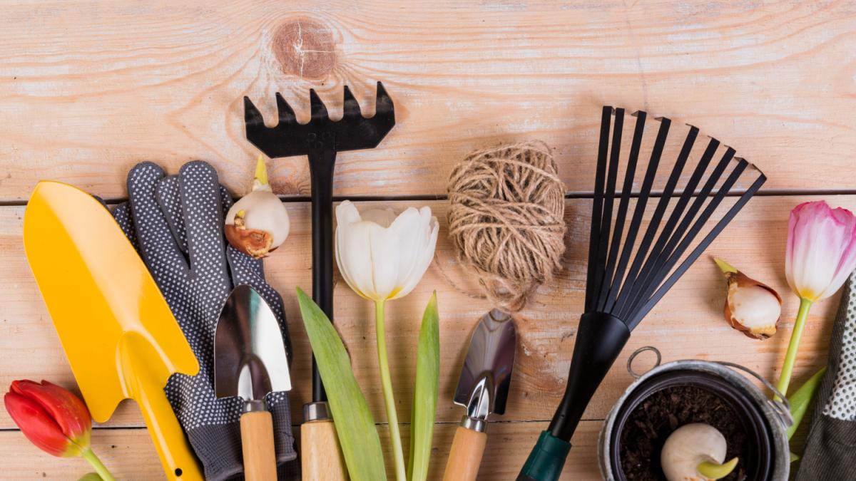 Дачный инвентарь