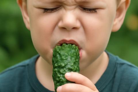 Педиатры рассказали, какие продукты давать детям в жаркую погоду