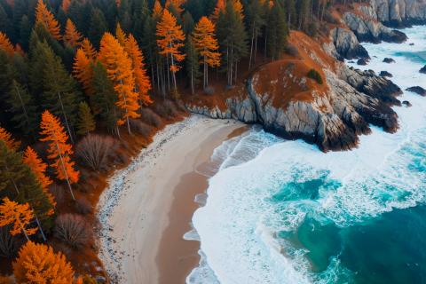 Простые изображения для мозга привлекательнее сложных — PNAS Nexus