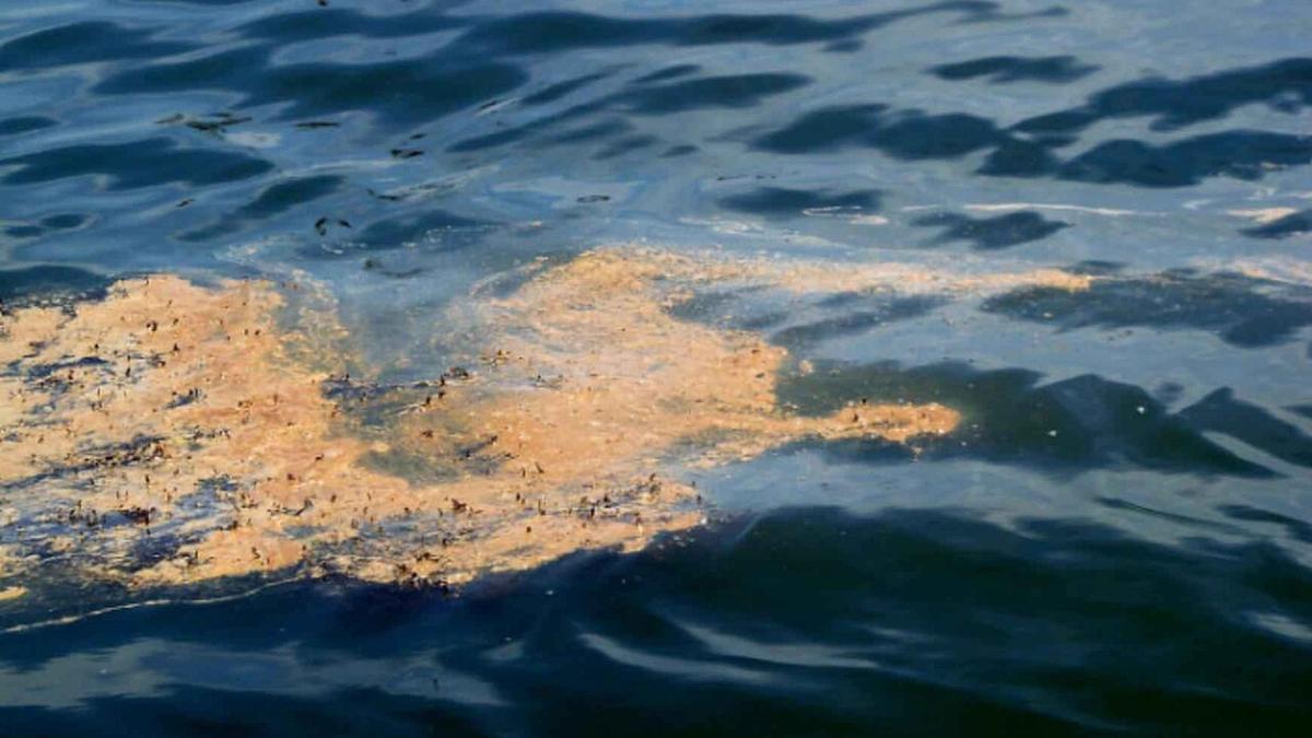 масляное пятно от разлива нефти