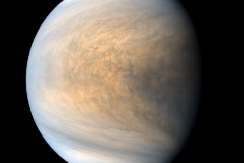 Астрономы нашли новые астероиды рядом с орбитой Венеры — НАСА