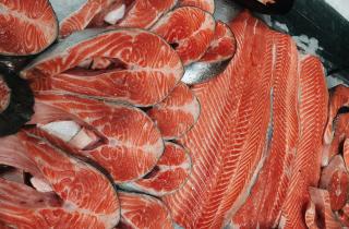 От трески до сельди: как разные виды рыбы влияют на наше здоровье и самочувствие.