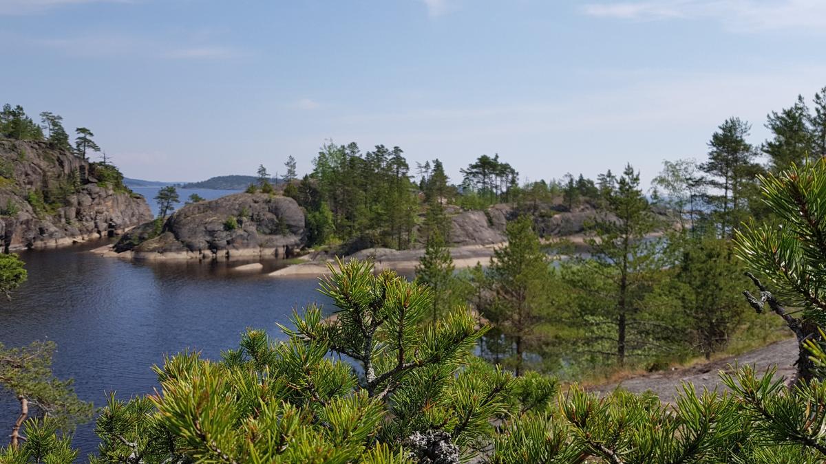 Красота Ладожских шхер