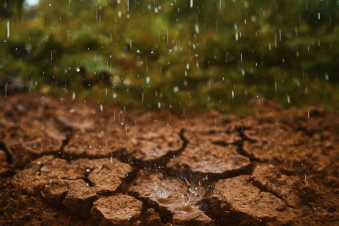 Турист пригрозил судом перед вылетом в Нячанг в ноябре — турагенты