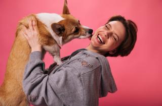 Специалисты: игрушки и лежанки питомцев становятся источником аллергенов