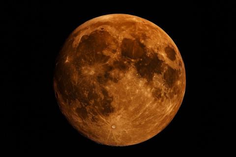 Биосигнатуры железа могут помочь найти жизнь на Марсе — эксперт Хофман