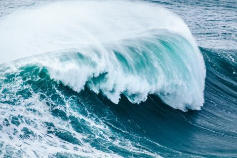 Почему морская вода пенится, и что об этом говорит биохимия