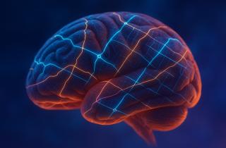 Мозг может стареть быстрее тела: 5 признаков, что он уже подаёт тревожные сигналы