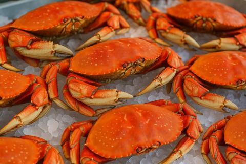 Рыболовам Камчатки разрешат выловить 228 тонн рыбы — ИА КамИнформ