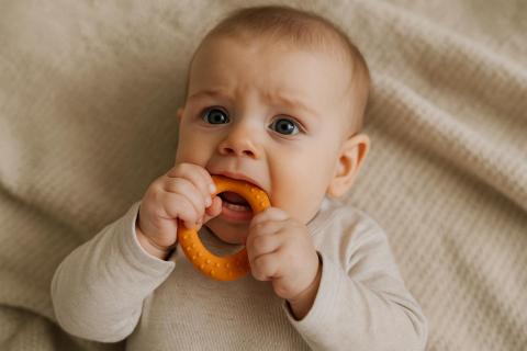 Учёные Рочестера зафиксировали ускорение прорезывания зубов из-за стресса