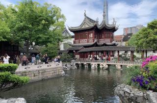 От замерзших вершин до цветущих садов: не пропустите март в Поднебесной — это лучший сезон