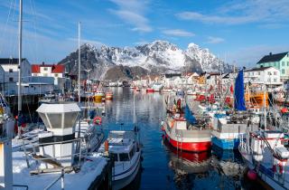 Мясо по цене золота: россиянка рассказала, как выживают люди в Норвегии