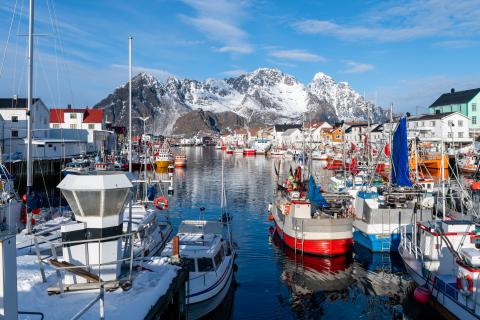 Мясо по цене золота: россиянка рассказала, как выживают люди в Норвегии Мясо по цене золота: россиянка рассказала, как выживают люди в Норвегии