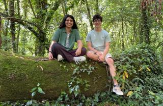 Робот Trovador высаживает деревья на склонах после лесных пожаров