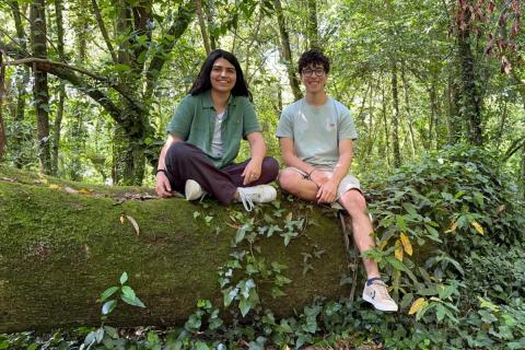 Робот Trovador высаживает деревья на склонах после лесных пожаров