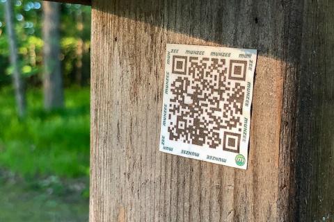 Универсальный QR станет бесплатным: платить и принимать — без комиссии