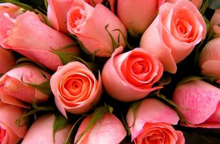 Нина Лозненко, легенда газсалинской авиации, отмечает 70 лет — Виктор Югай