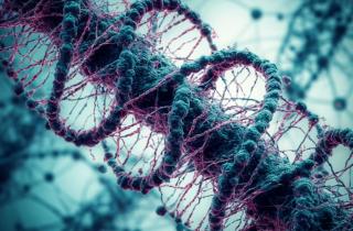 Эволюция человека продолжается и в XXI веке — антрополог Литтл