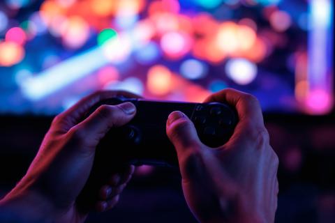 иберспортсмены Камчатки провели турнир по UFC