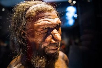 Ученые: древние люди погибали от неизлечимых болезней