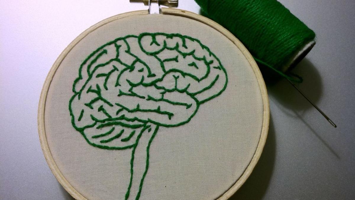 Вышитое изображение мозга человека Вышитое изображение мозга человека