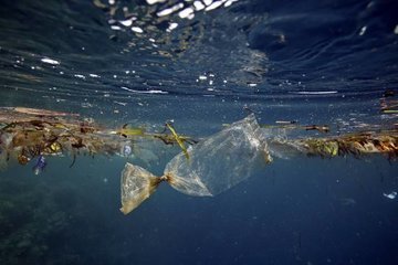 Ученые США: пластик бесследно исчезает в Мировом океане