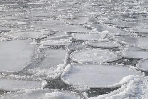 Ледяные образования на реке предвещают ледостав — метеорологи