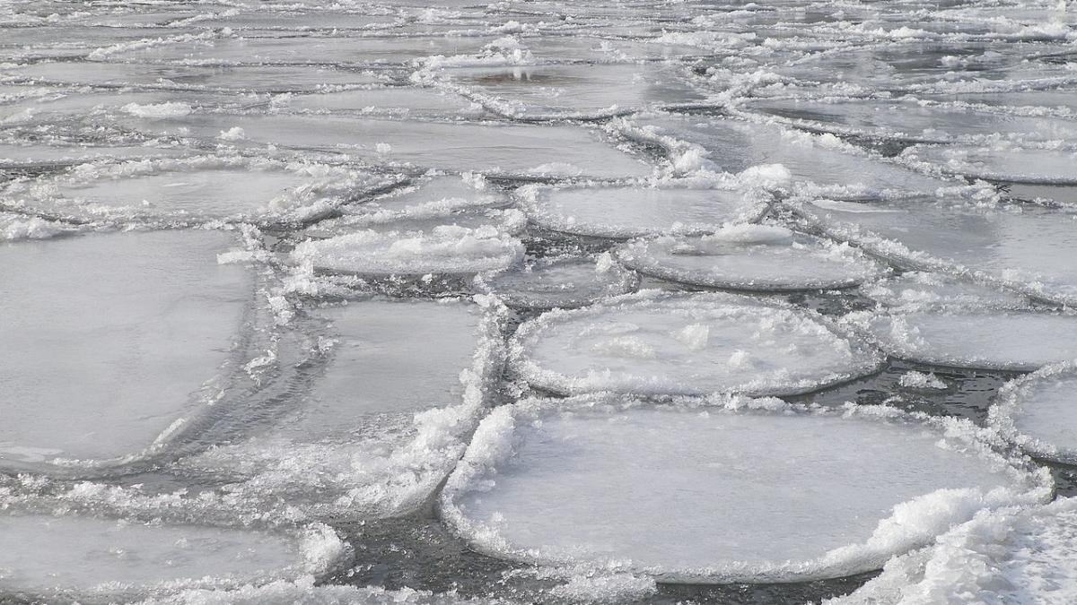 Ледяные круги