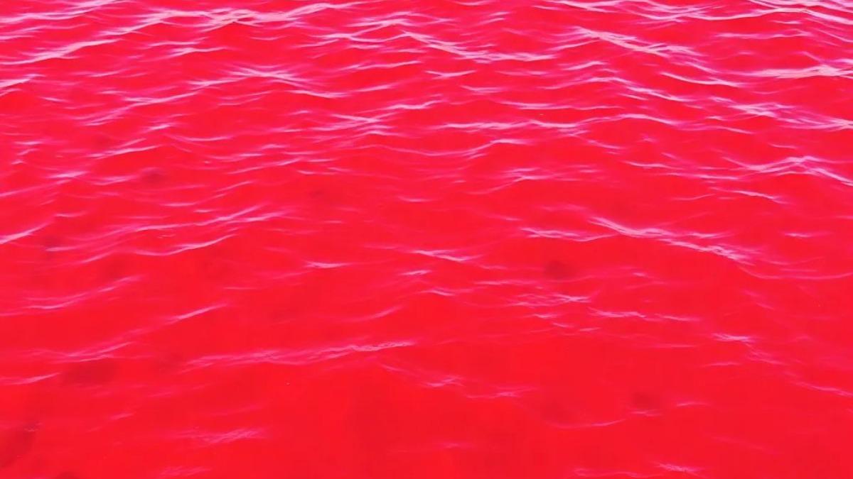 воды Галилейского моря