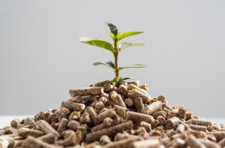 Хлопковый шрот улучшает структуру почвы осенью — агрономы